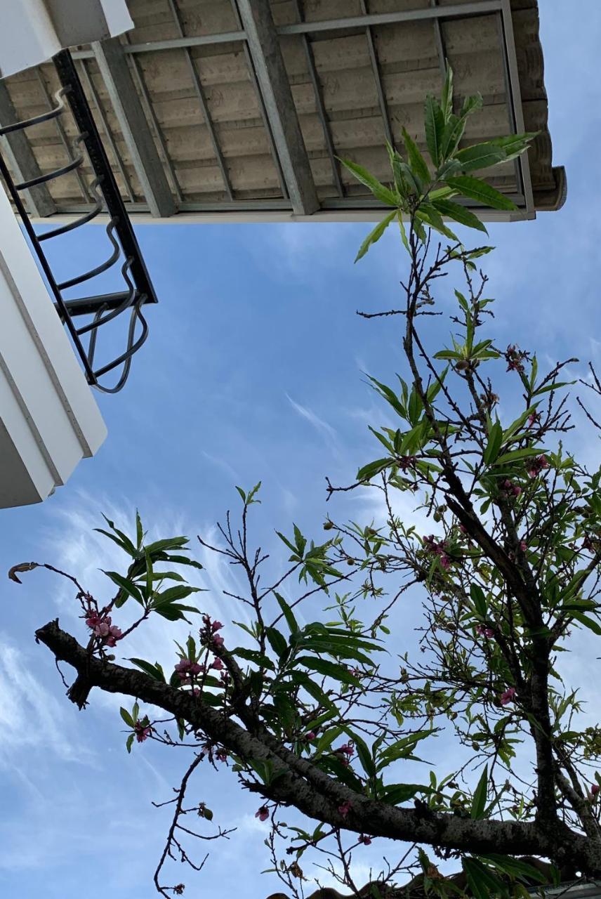 De Daisy Villa Homestay Da Lat Exterior photo